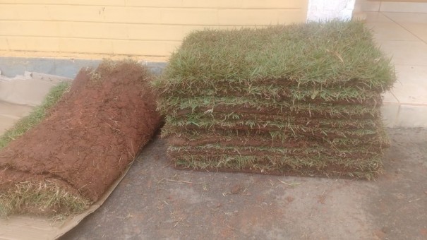 Homem � detido por furtar grama �s margens da SP-270 em Rancharia