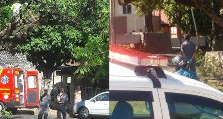 Homem sobe em árvore próximo ao Fórum de Lucélia, ameaça se jogar e mobiliza Polícia, Bombeiros, promotor e até o juiz