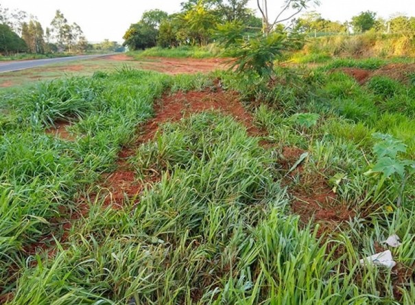 Carro com placas de Tup� capota na SP-457, no trecho Bastos - Rancharia