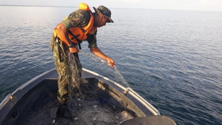 Flagrante de pesca predatória no período da piracema no Rio Paraná rende multas de mais de R$ 1 mil em Rosana