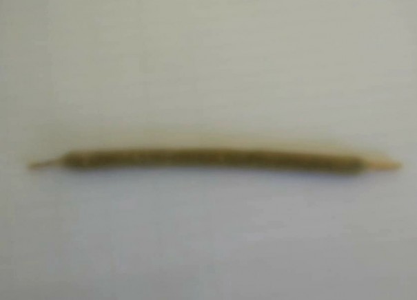 Adolescente foi flagrado com entorpecente em Osvaldo Cruz