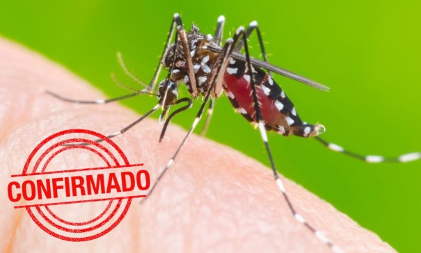 Dengue: 1.072 casos confirmados da doena em Osvaldo Cruz