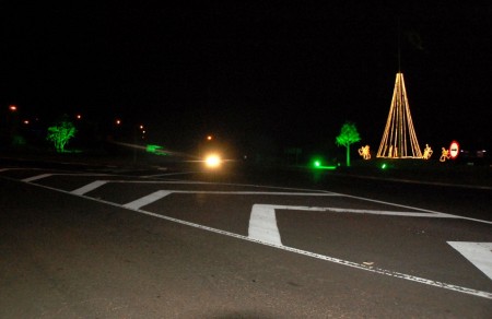 Motociclista fica ferido após atropelar boi na Rodovia Comandante João Ribeiro de Barros