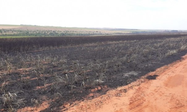 Usina recebe seis autua��es por queimada em �rea de preserva��o que somam mais de R$ 510 mil