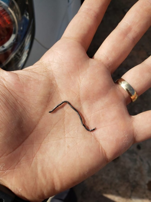 Preso tenta fugir durante escolta para a Santa Casa de Martin�polis, mas � detido