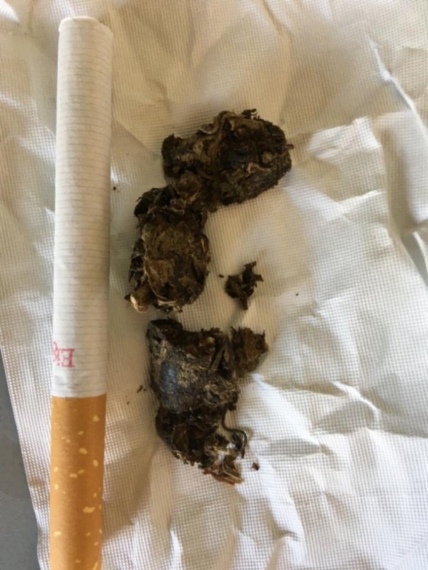 Pol�cia Militar aborda motocicleta com dois ocupantes e flagra porte de entorpecente no centro de OC