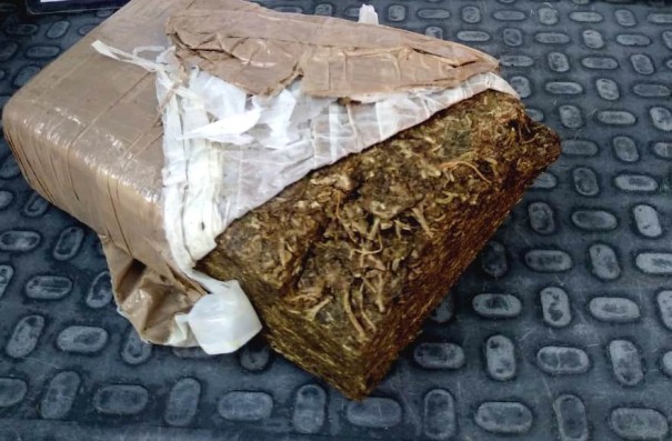 For�a T�tica prende dois indiv�duos e apreende tijolo de maconha em mata pr�ximo a um c�rrego em Fl�rida Paulista