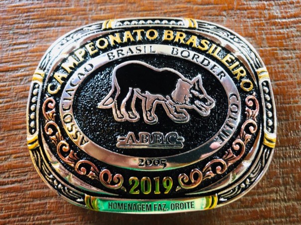 15 Campeonato Brasileiro de Ces de Pastoreio acontece na Fazenda Oroit