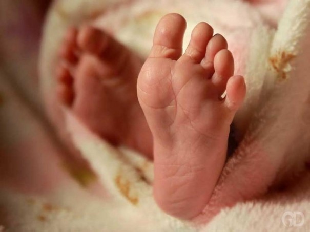 Corpo de beb recm-nascido  encontrado em Pracinha