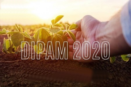 Entrega da Dipam é prorrogada até 30 de abril