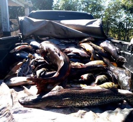 Polícia Ambiental apreende quase 70 kg de peixes e multa ultrapassa R$ 6 mil