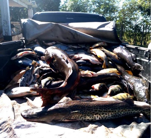 Pol�cia Ambiental apreende quase 70 kg de peixes e multa ultrapassa R$ 6 mil