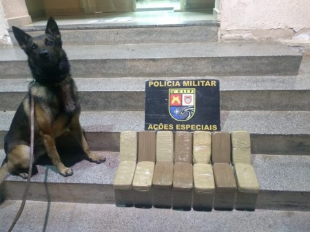 Com apoio do Canil, 14 kg de cocaína são encontrados em carreta e Baep prende homem em flagrante em Presidente Prudente