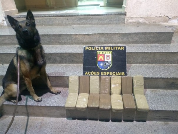 Com apoio do Canil, 14 kg de coca�na s�o encontrados em carreta e Baep prende homem em flagrante em Presidente Prudente