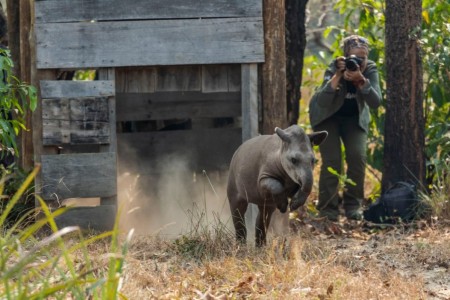 Cientistas que atuam no Oeste Paulista são premiadas por trabalhos de conservação ambiental