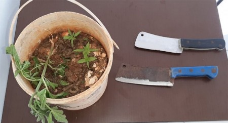 Polícia Militar de Bastos prende acusado de ameaçar os pais idosos em propriedade rural