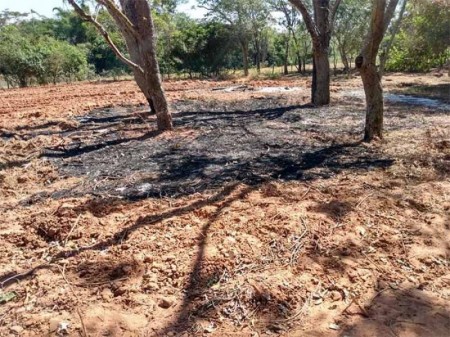 Polícia Ambiental de Tupã aplica multa de mais de R$ 1,8 mil por fogo em vegetação nativa em Parapuã