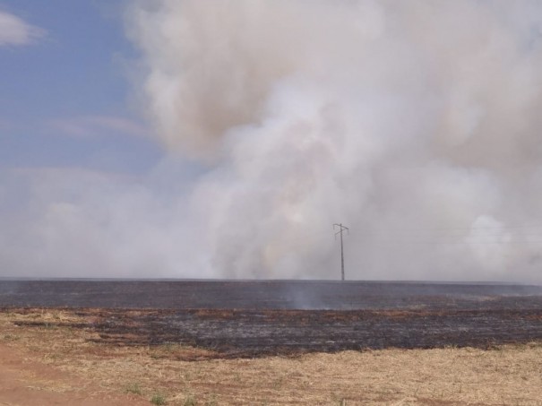 Incndio destri plantao de cana em Inbia Paulista 