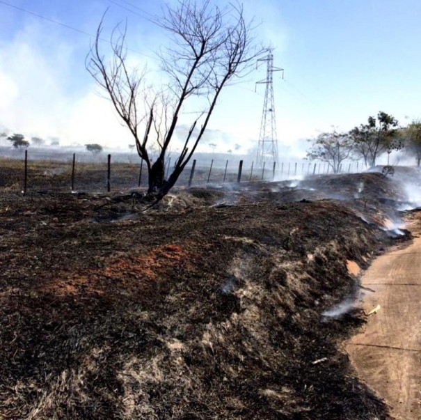 Incndio s margens da rodovia devasta rvores e pastagens em Flrida Paulista
