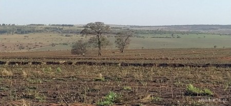 Queimada em área destinada ao plantio de cana-de-açúcar resulta em multas de mais de R$ 200 mil a usina sucroalcooleira