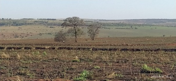 Queimada em �rea destinada ao plantio de cana-de-a��car resulta em multas de mais de R$ 200 mil a usina sucroalcooleira