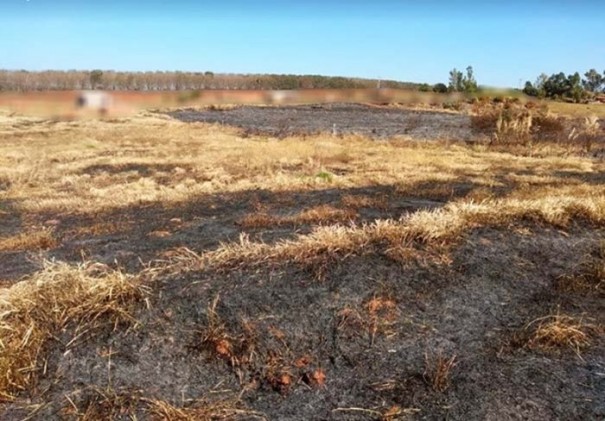 Propriedade rural de Tup  multada por fogo em vegetao