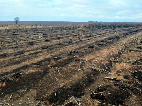 Usina sucroalcooleira � multada em quase R$ 330 mil ap�s Pol�cia Ambiental constatar queimadas irregulares por sat�lites