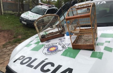 Polícia Ambiental aplica multa de R$ 3,2 mil por infrações ambientais em Marília