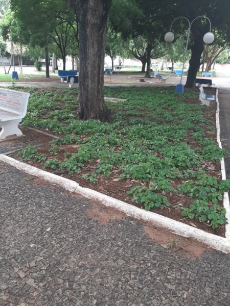 Primeira Dama de Osvaldo Cruz apresenta resultados em espaços públicos de trabalho iniciado no começo do ano