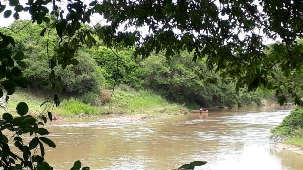 Flagrado em atividade de pesca proibida durante a piracema, homem leva multa de R$ 734 em Fl�rida Paulista