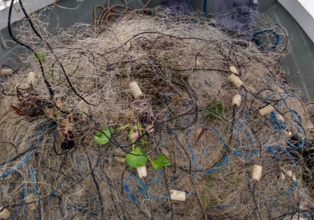 Fiscalização apreende 500 metros de redes de pesca armadas irregularmente no Rio Paraná