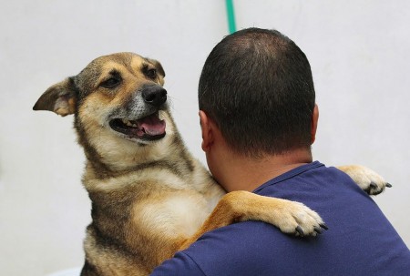 Adoção Responsável: Confira os bichinhos disponíveis nesta semana