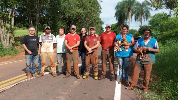 Cachorros presos dentro de tubulao em Parapu so resgatados pelos bombeiros
