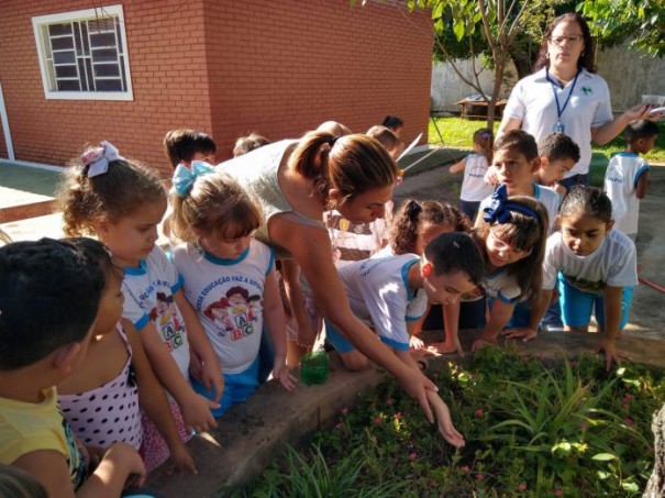 Estudantes plantam sementes de flor 'anti-dengue' em Parapu