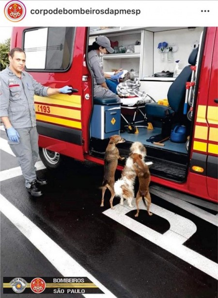 Ocorrência atendida pelo Corpo de Bombeiros de OC vira destaque nas redes sociais da corporação