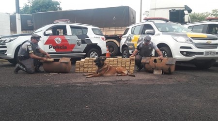 Cão farejador da PM localiza mais de 135 quilos de cocaína em cilindros de ar de carreta na região