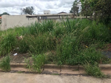 Prefeitura lança conta de mato alto para quase 300 contribuintes