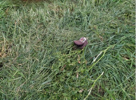 Cadáver de homem em estado de decomposição é encontrado em pasto em Presidente Prudente