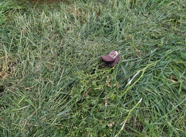 Cad�ver de homem em estado de decomposi��o � encontrado em pasto em Presidente Prudente