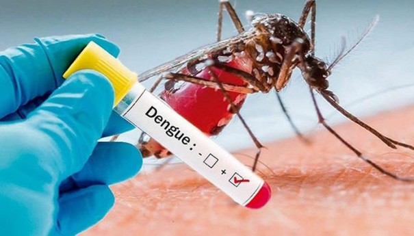 Adamantina teve 2.731 casos de dengue em 2019