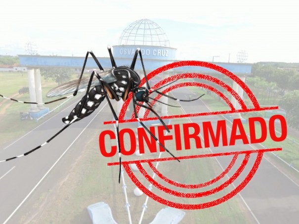 DENGUE: Osvaldo Cruz fechou 2019 com 1136 casos positivos da doena 