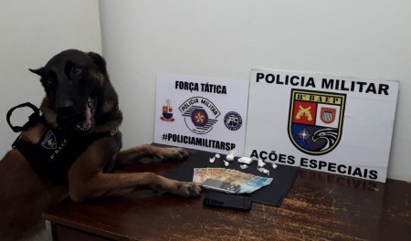 Cão farejador detecta presença de droga em vão de parede e homem é preso em flagrante por tráfico