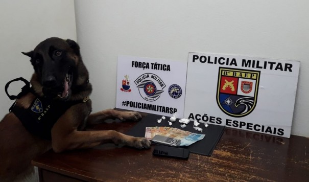 C�o farejador detecta presen�a de droga em v�o de parede e homem � preso em flagrante por tr�fico
