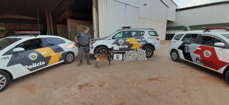 Fiscalização apreende carga de maconha em carreta na Rodovia Raposo Tavares