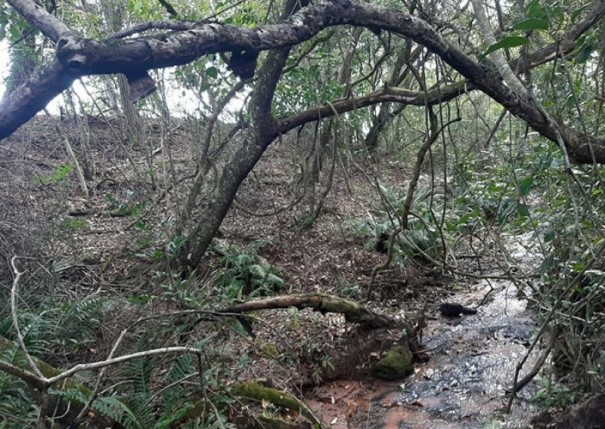 Pol�cia Ambiental aplica multa de mais de R$ 78 mil em propriedade rural de Iacri