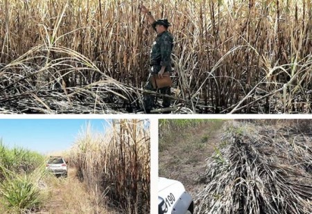 Polícia Ambiental aplica multa de mais de R$ 71 mil por fogo em propriedade rural de Bastos