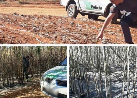 Fogo em área agropastoril em propriedade em Parapuã rende multa de mais de R$ 30 mil