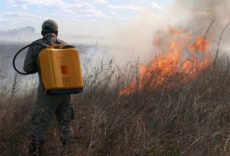 Corpo de Bombeiros de Osvaldo Cruz alerta para risco de queimadas na vegetação