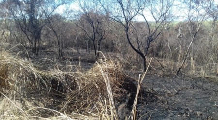 Polícia Ambiental constata crimes ambientais e autua usina sucroalcooleira em mais de R$ 362 mil