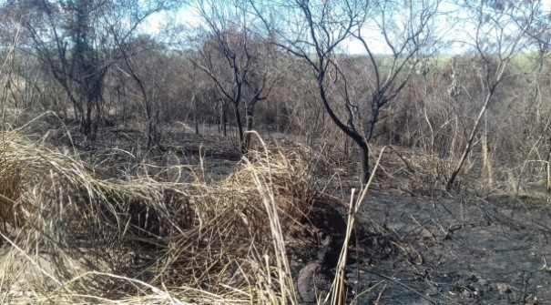 Pol�cia Ambiental constata crimes ambientais e autua usina sucroalcooleira em mais de R$ 362 mil